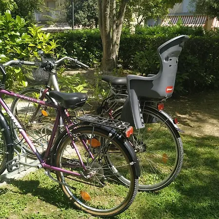 Pineda A 6 * بيبيوني