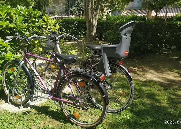 Pineda A 6 * بيبيوني